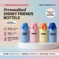 Disney Friends Insulated Bottle – 800 ML