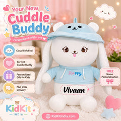 Sanrio Buddy Plush 25-30 Cm